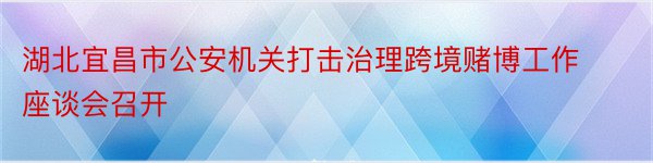 湖北宜昌市公安机关打击治理跨境赌博工作座谈会召开