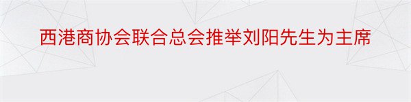 西港商协会联合总会推举刘阳先生为主席